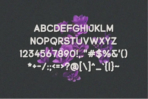 Blueberries font