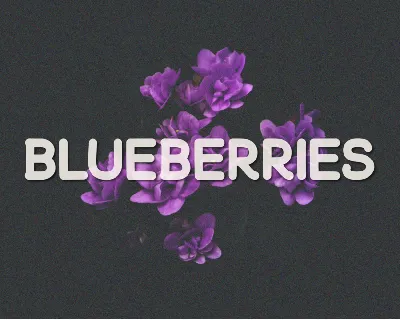 Blueberries font