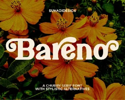 Bareno font