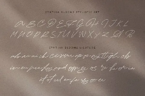 Cynthia Blooms Signature font