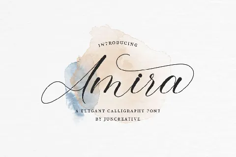 Amira font
