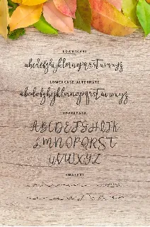 Nastar Script font