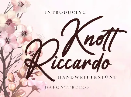 Knott Riccardo font