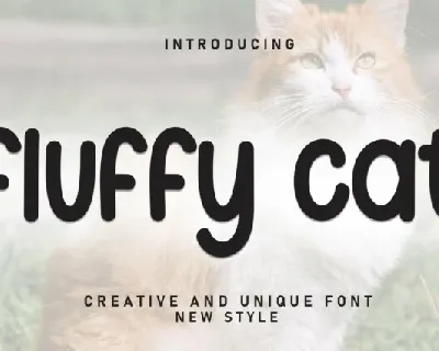 Fluffy Cat Display font