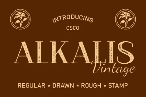 Alkalis Vintage font