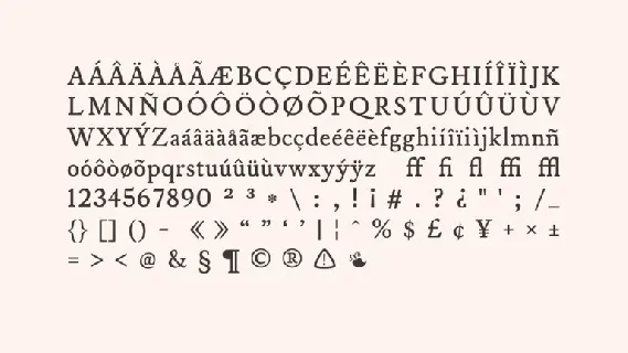 Austin Serif Family font