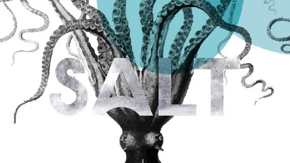 Salt Typeface font