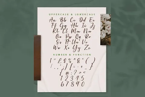 Billsheva font