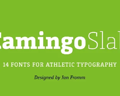 CamingoSlab Family font