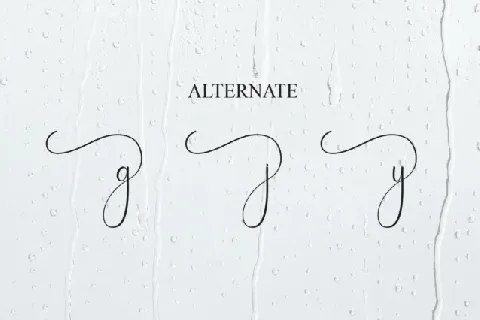 Rainday Script Typeface font