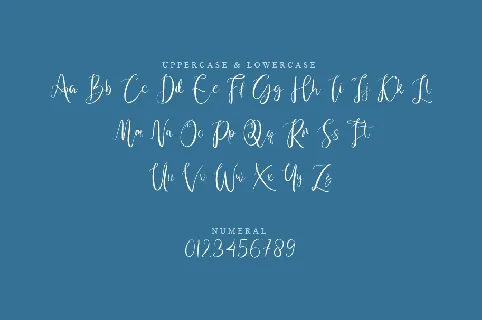 Napet font