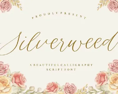 Silverweed Beautiful Calligraphy Script font