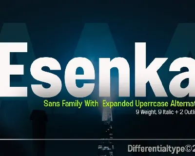 Esenka Family font