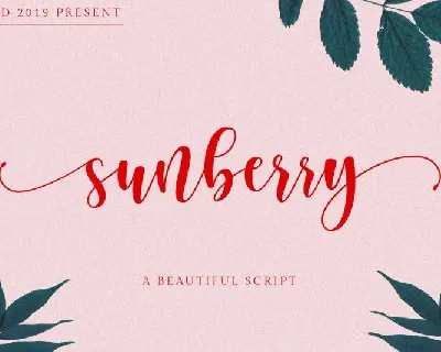 Sunberry Script font