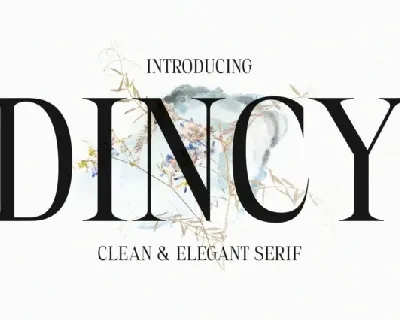 Dincy font