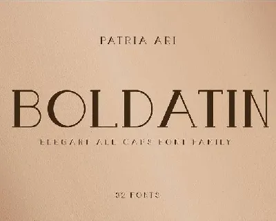 Boldatin font