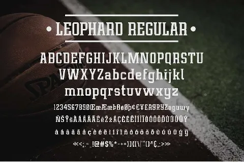 Leophard Family font