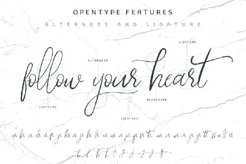 My Illutions Calligraphy font