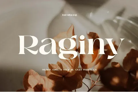 Raginy font