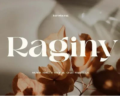 Raginy font