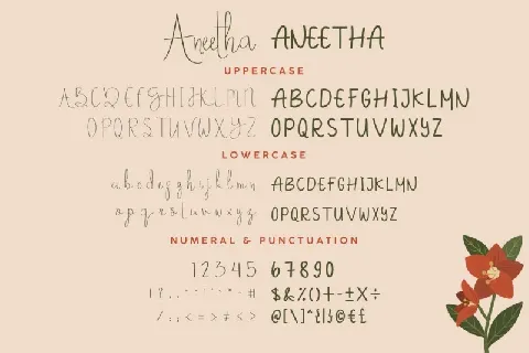 Aneetha Duo font