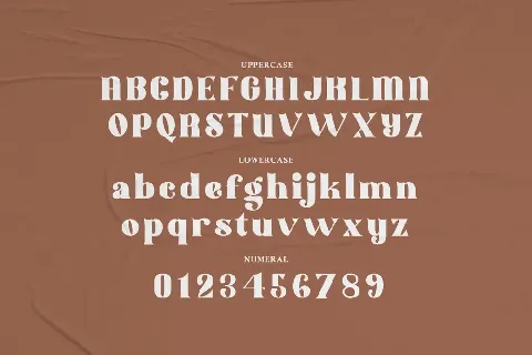 Likevibe Free Trial font