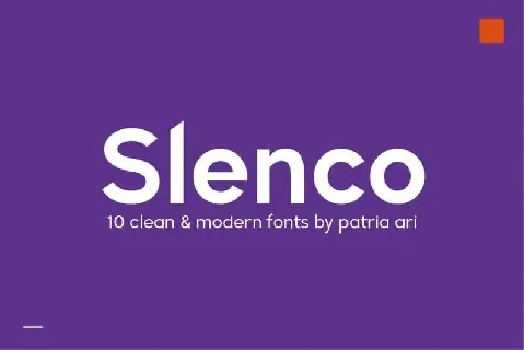 Slenco Sans Serif Family font