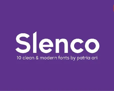 Slenco Sans Serif Family font