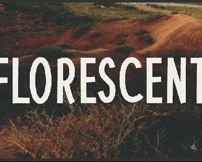 Florescent font