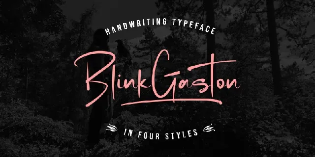 Blink Gaston font