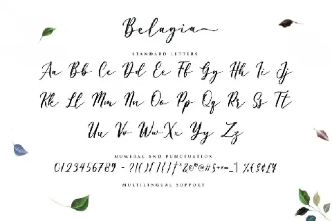 Belagia Classy Calligraphy font