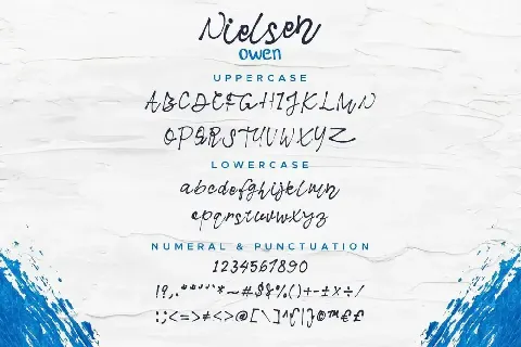 Nielsen Owen Demo font