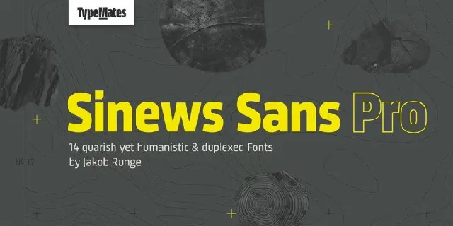 Sinews Sans Pro Family font