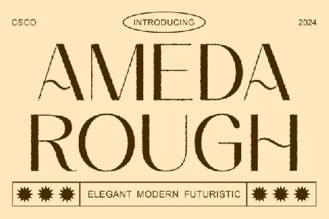 Ameda Rough font