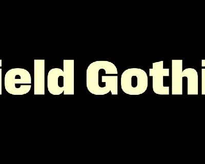 Field Gothic Family font
