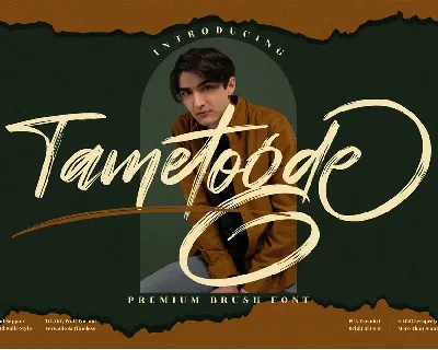 Tametogde font