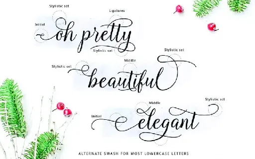 Kasandra Calligraphy font