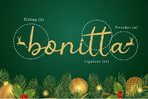 Christmas Ink font