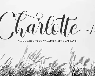 Charlotte font