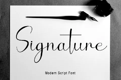 Signature Script Typeface font