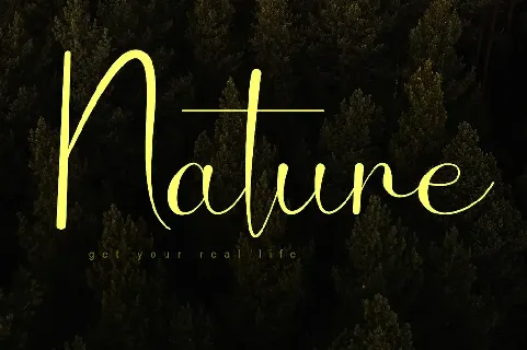 Signature Script Typeface font