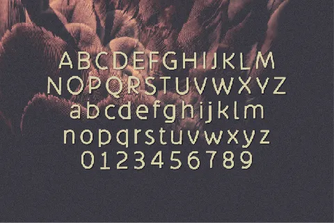 Abellone font