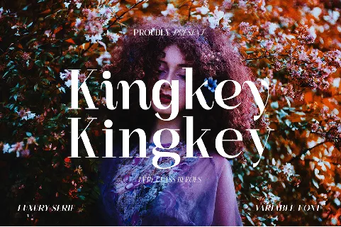 Kingkey Demo font