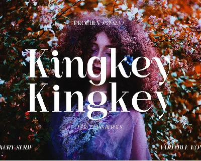 Kingkey Demo font