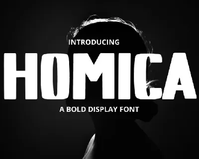 Homica Display font
