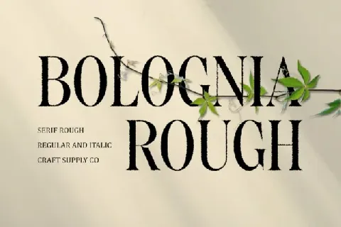Bolognia Rough font