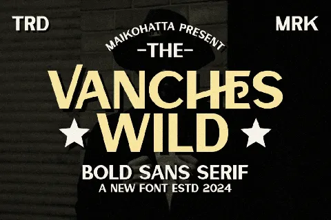 VANCHES WILD font