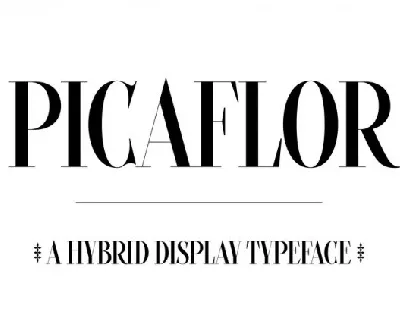 Picaflor font