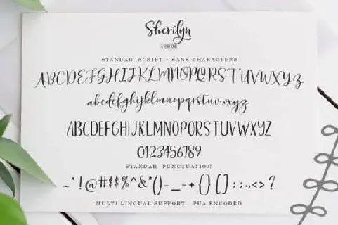 Sherilyn Script font