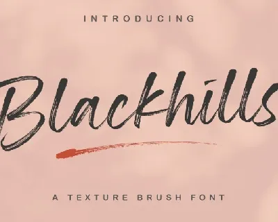 Blackhills Textured Brush font